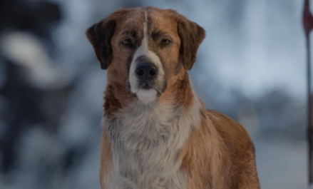 西安影视后期培训一般多少钱